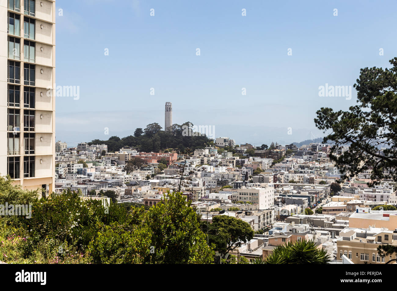 A view of the famous Coit Tower from Russian hill, with many luxury condo towers are located, in San Francisco, California, USA Stock Photo