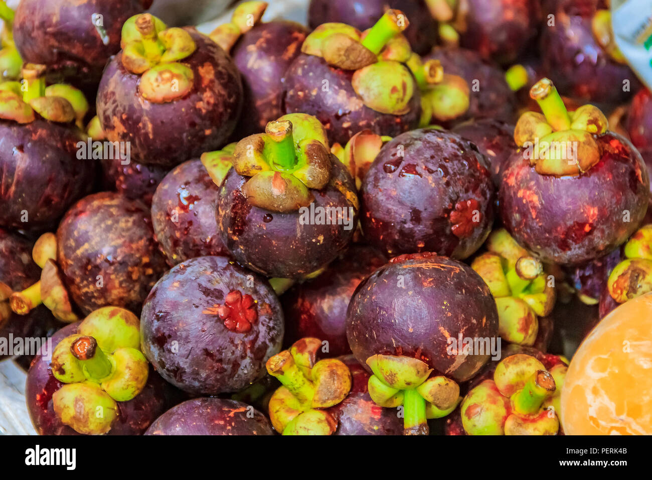 Mangosteen flower hires stock photography and images Alamy