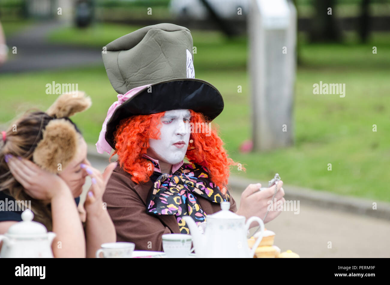 Dark Mad Hatter Family Costume Halloween Alice In Wonderland Fancy