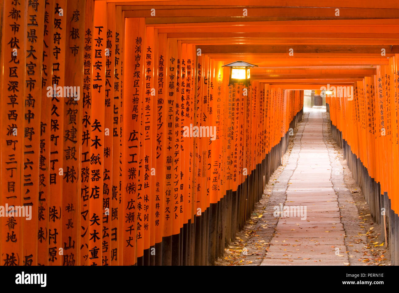 Asia Japan Honshu Kansai Region Kyoto Fushimi Inari Taisha Shrine Lantern Hanging Between Torii Gates And Japanese Kanji Script Written On The T Stock Photo Alamy