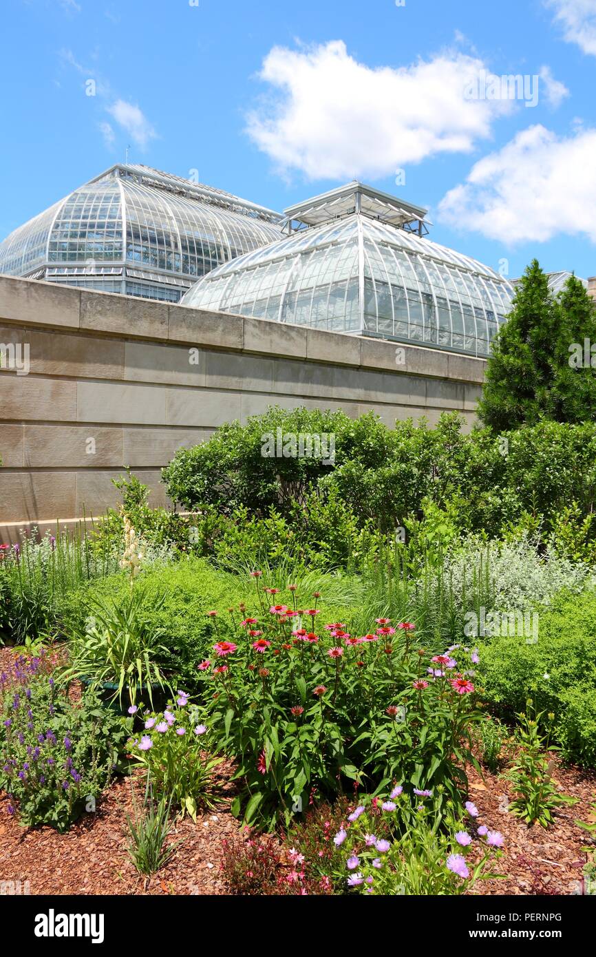 Washington Dc Capital City Of The United States Us Botanic