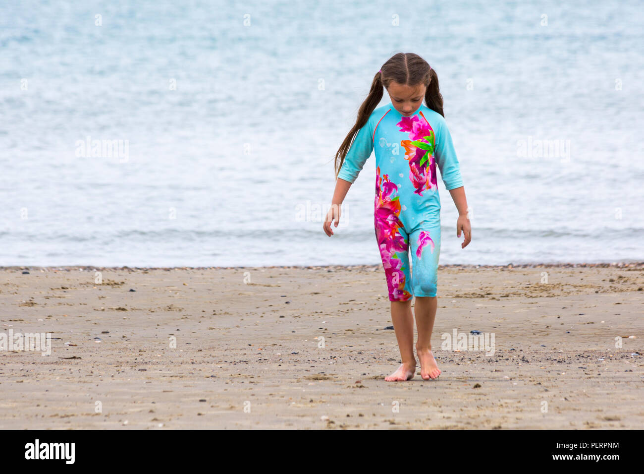 Sharp shells hi-res stock photography and images - Alamy