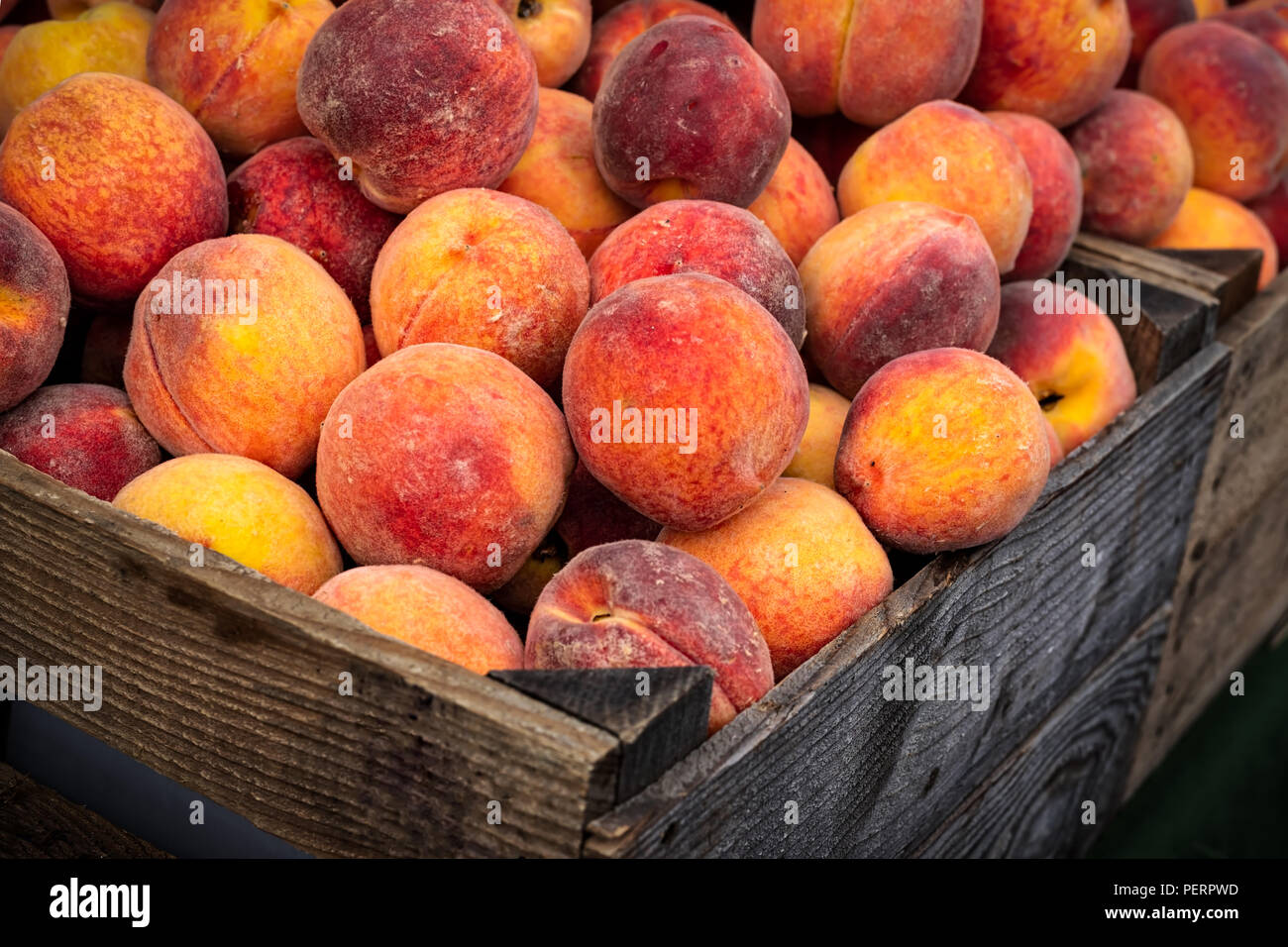 Just picked rippened peaches in wooden crates ready to eat Stock Photo Alamy