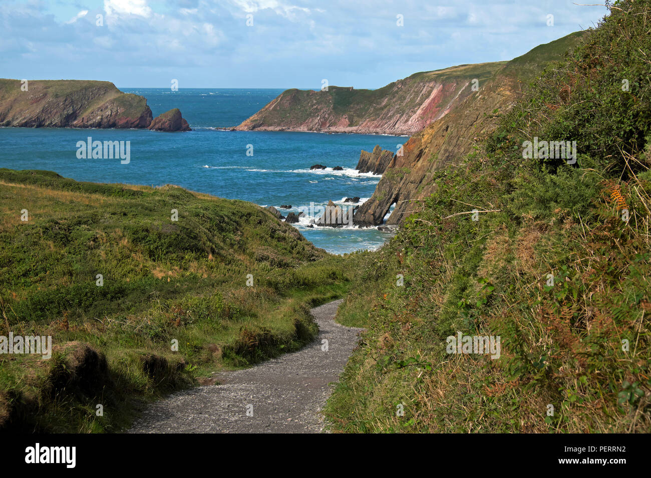 View of path leading to Marloes Sands beach, Wales Coastal Path and Gateholm Island at high tide in Pembrokeshire Coast West Wales UK  KATHY DEWITT Stock Photo