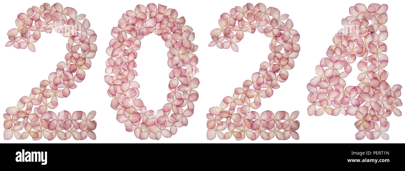 Numeral 2025 from flowers of hydrangea, isolated on white background