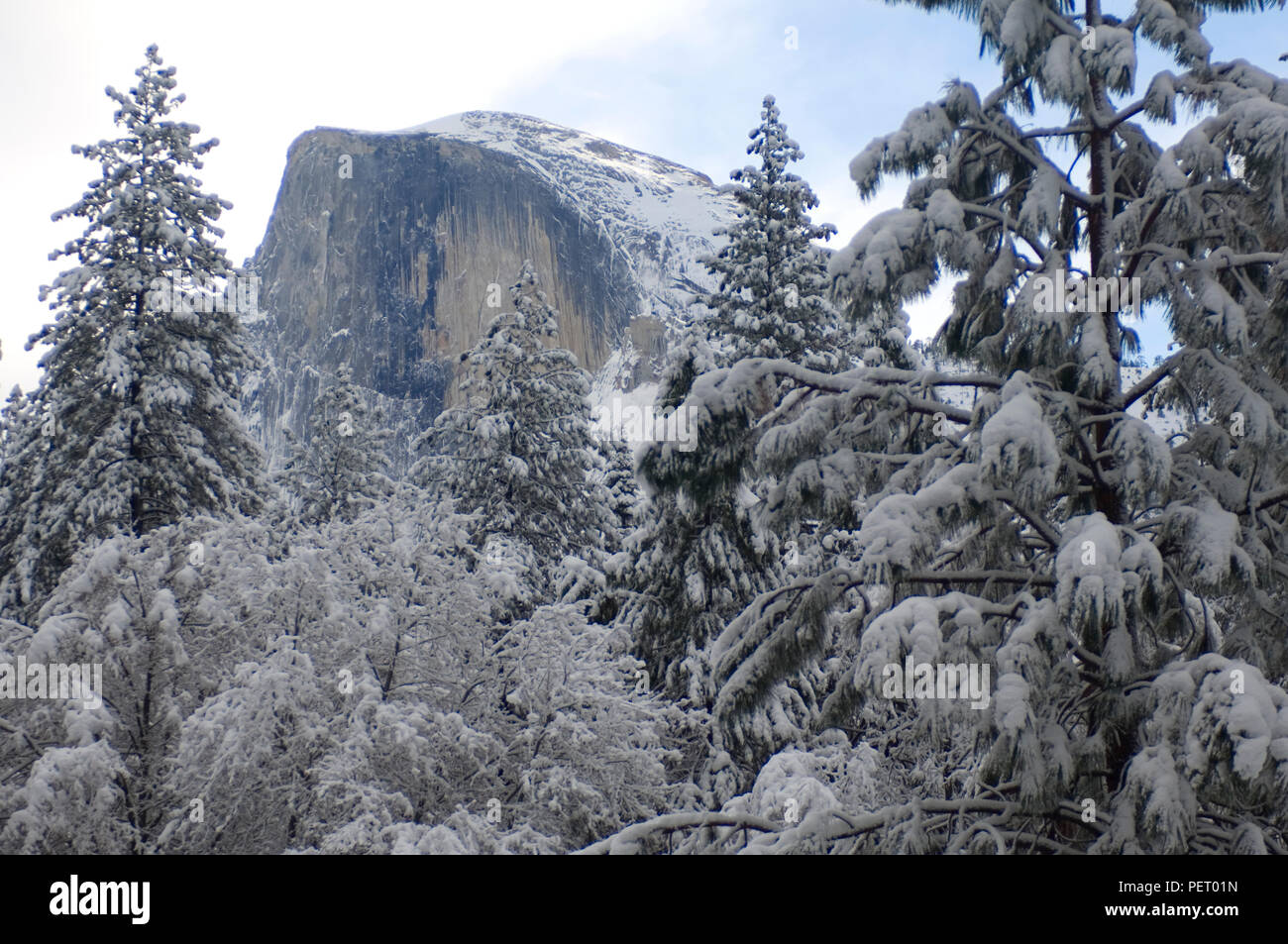 Half Dome rises from the surrounding winter wonderland that is Yosemite ...