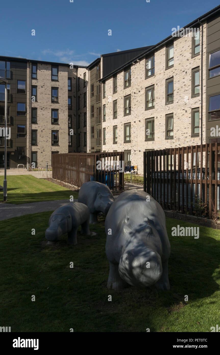 2018 saw the completion of the final phase of public housing renewal in