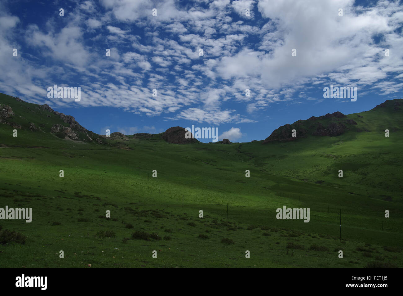 Lush green landscapes of ladakh hi-res stock photography and images - Alamy