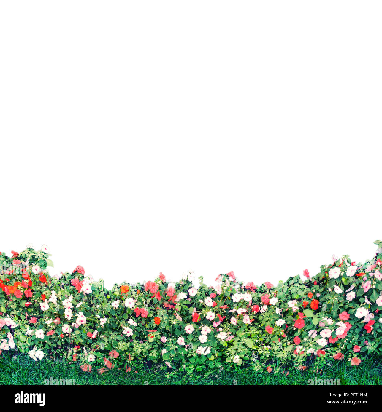 Clear garden border hi-res stock photography and images - Alamy