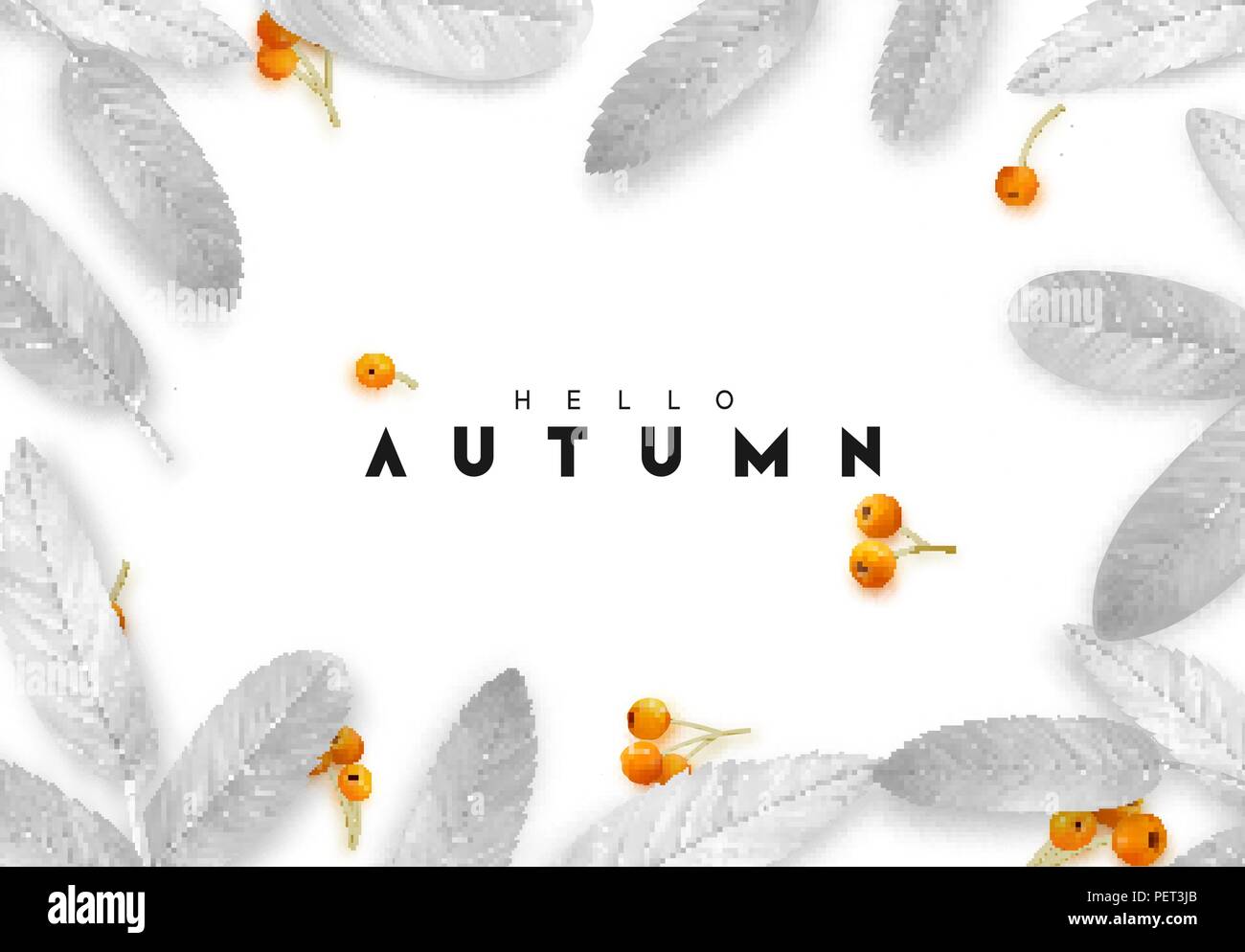 Fall Foliage. Autumn background with silver leaves and realistic rowan ...