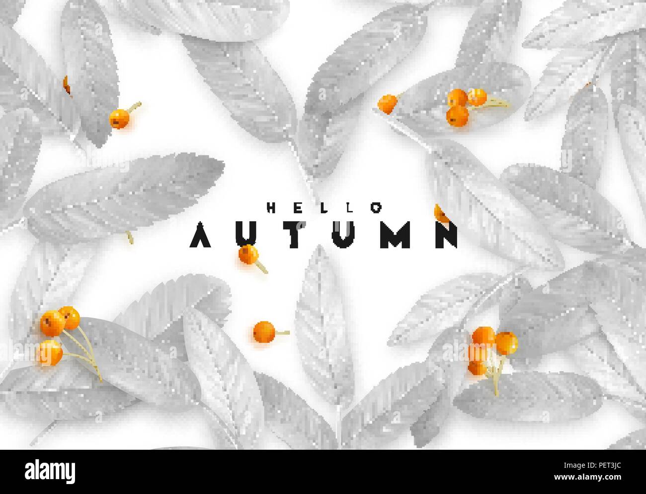 Fall Foliage. Autumn background with silver leaves and realistic rowan ...