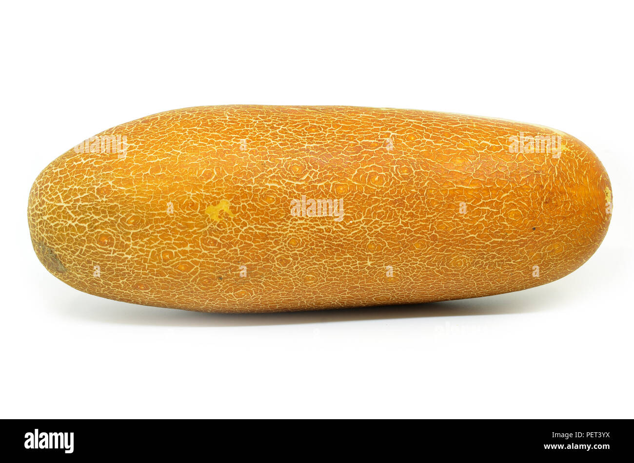 Chinese yellow cucumber on white background Stock Photo Alamy