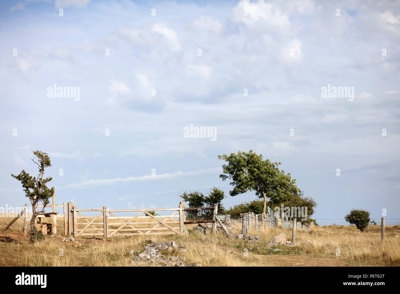 August 2018 - Traditional wooden gate atop the Mendip hills, in Somerset near the village of Cheddar. Stock Photo