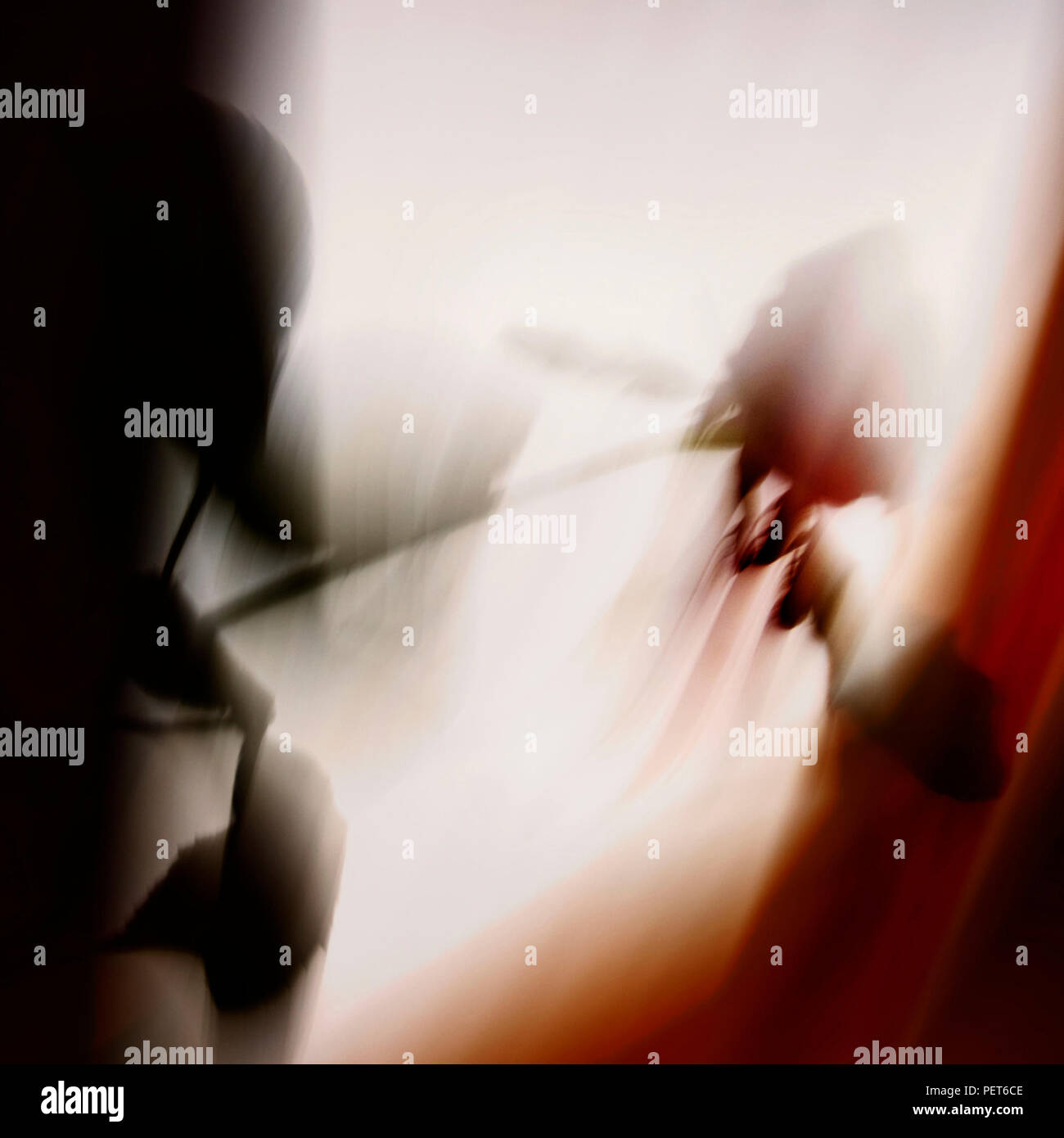 Petals falling flower rose hi-res stock photography and images - Alamy