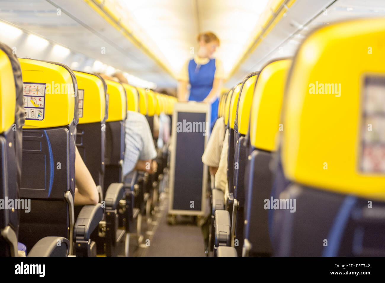 ryanair pet in cabin