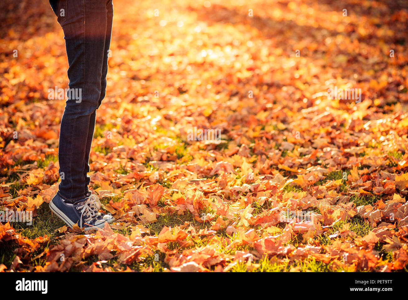 Feet of a woman standing on the orange autumn leaves with warm backlight Stock Photo