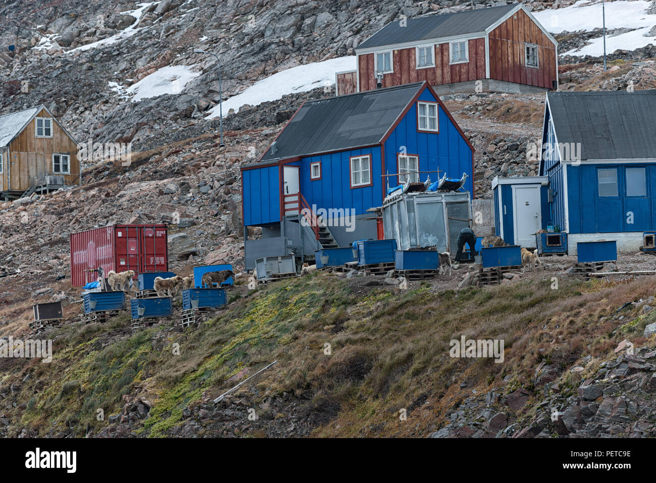 Typical colourful wooden houses in autumn, Ittoqqortoormiit, Sermersooq Municipality, Eastern Greenland, Kingdom of Denmark Stock Photo