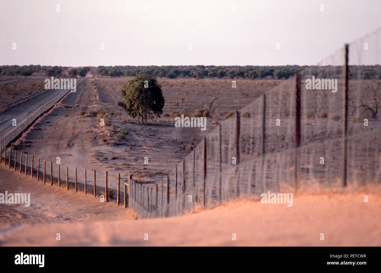 View along a section of the famous Dingo Fence or Dog Fence built in Australia during the 1880's and finished in 1885 to keep dingoes out of farmland. Stock Photo