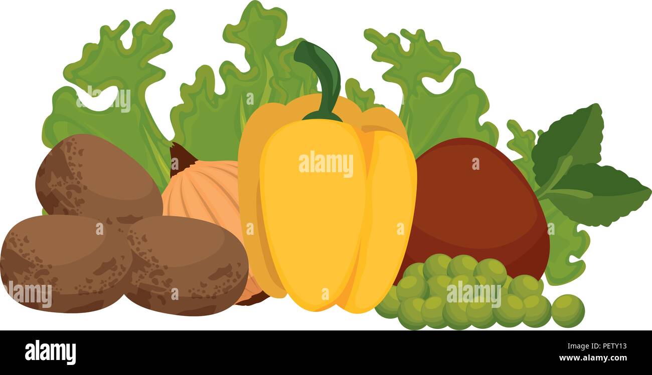 fresh vegetables vegetarian food vector illustration design Stock ...