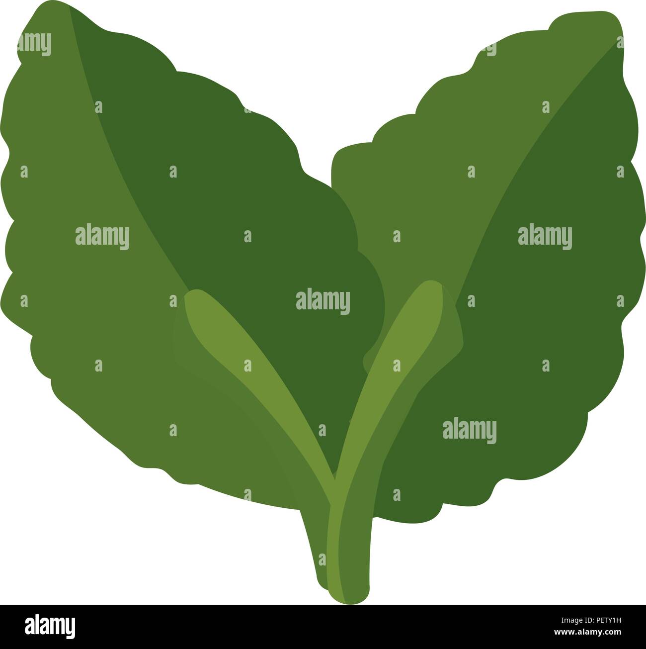 Naturalness vector vectors hi-res stock photography and images - Alamy
