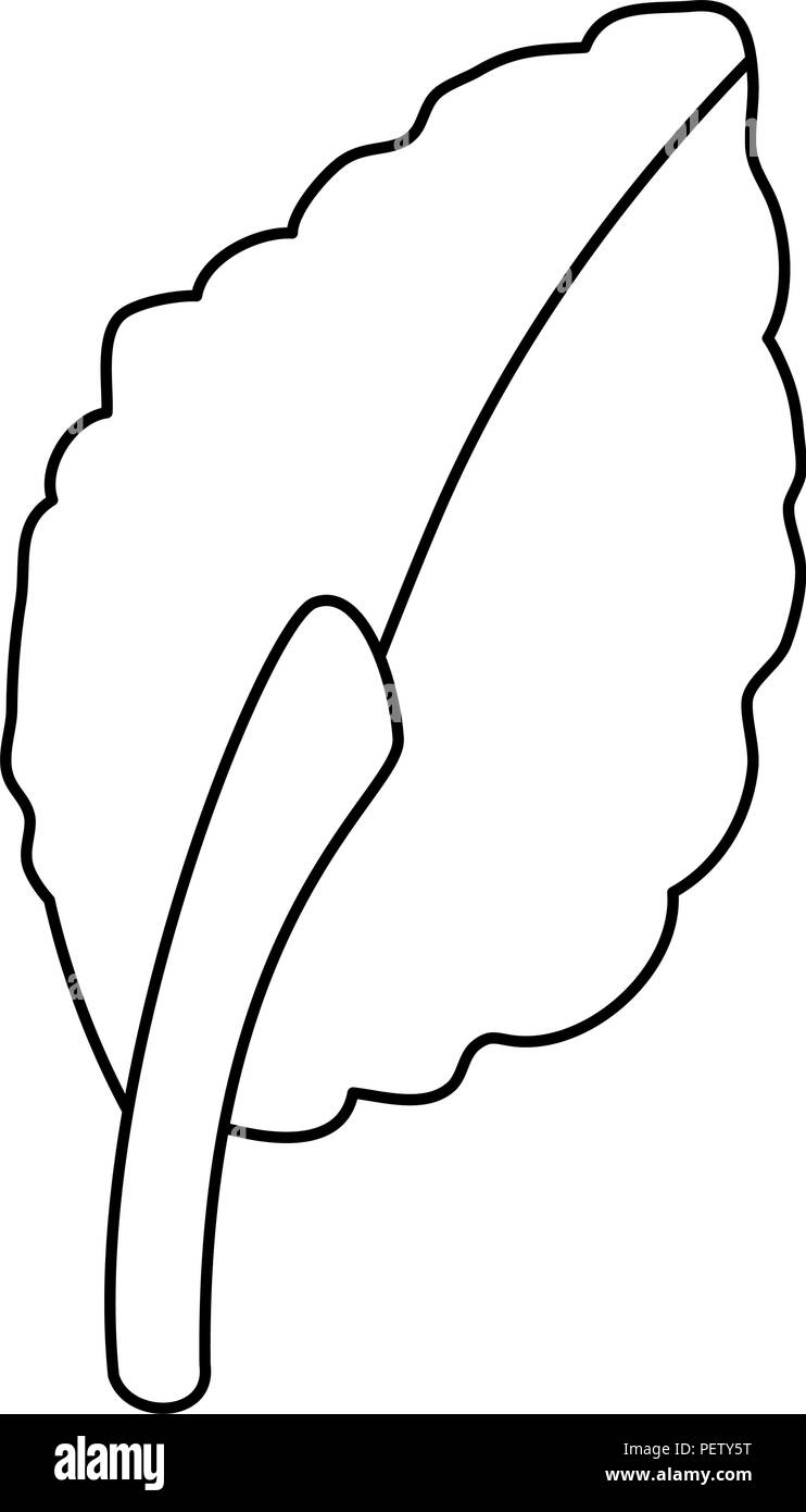 leaf plant isolated icon vector illustration design Stock Vector Image ...