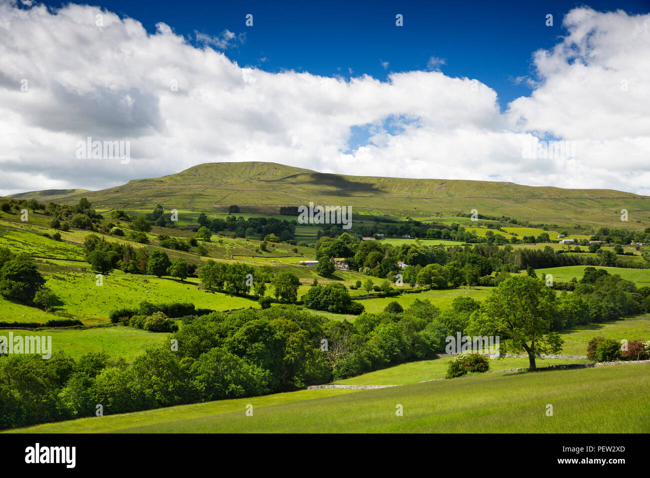 UK, Cumbria, Dentdale, River Dent valley below Whernside from Cowgill Stock Photo