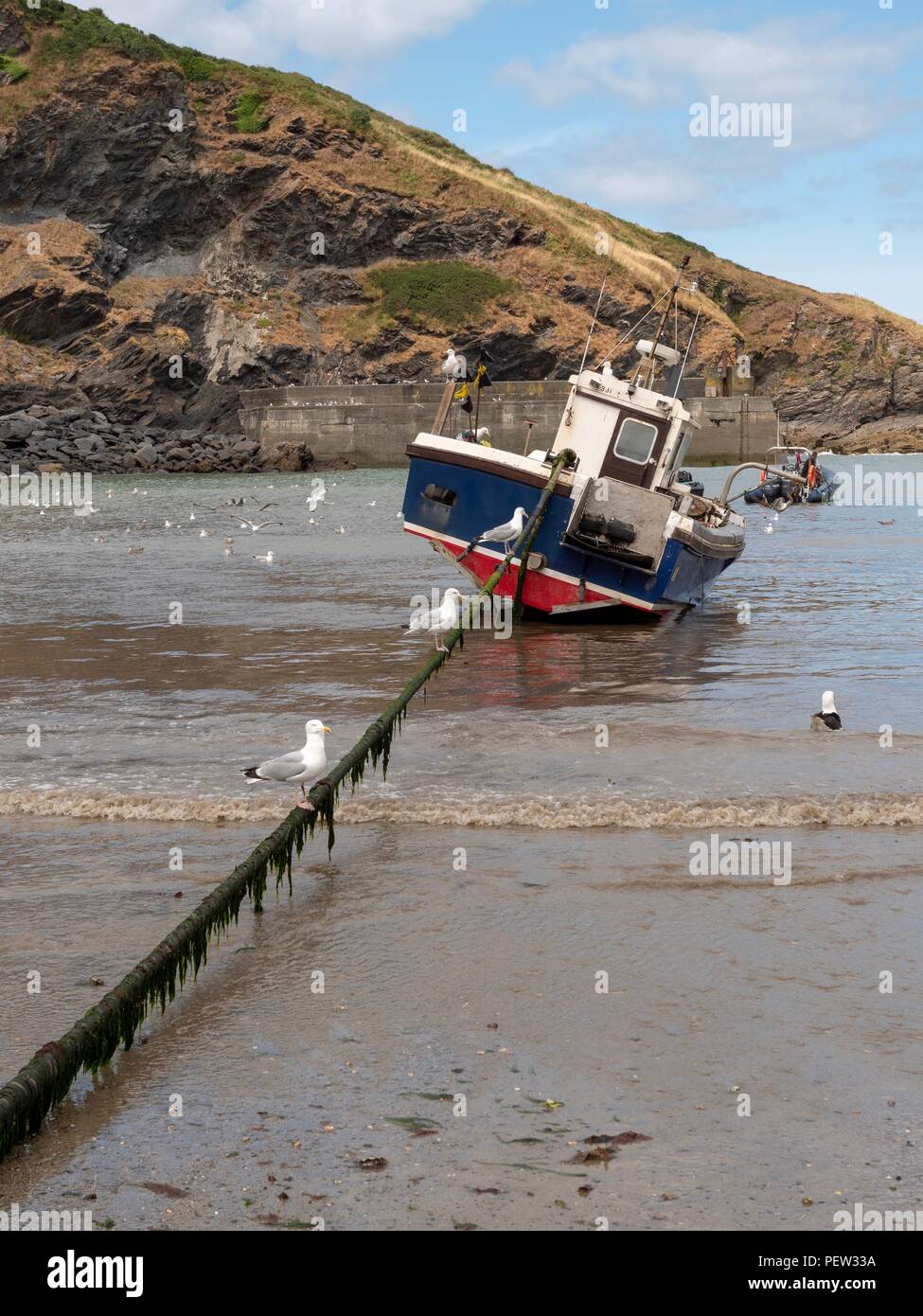 A fishing boat at anchor in the harbour at Port Isaac in Cornwall Stock Photo
