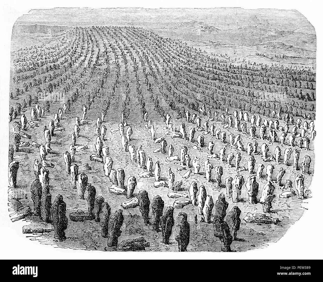 Vintage engraving of Carnac stones  in Brittany, more than 3000 prehistoric standing stones Stock Photo