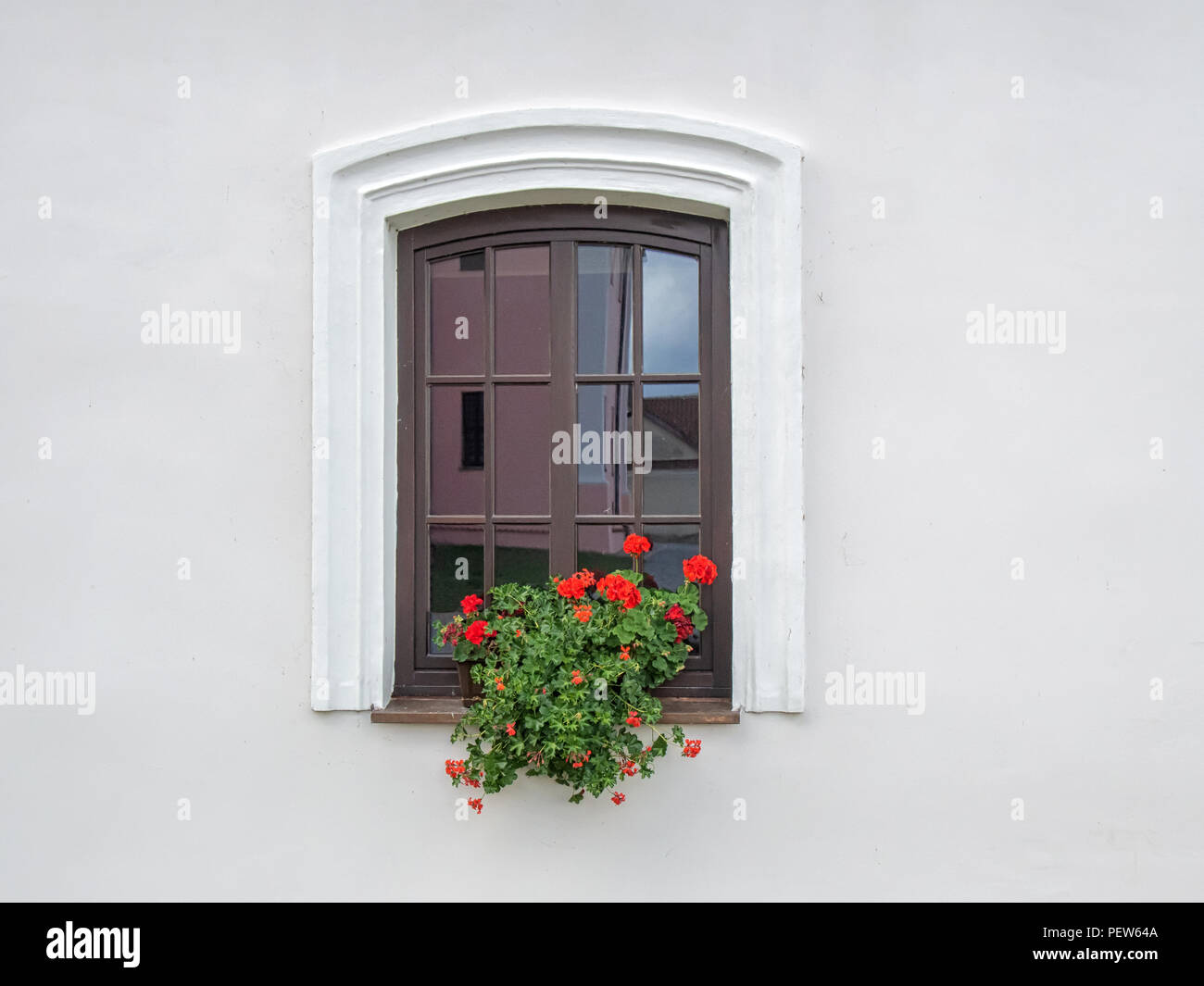 Brown wooden window with flowers in plaster white wall Stock Photo
