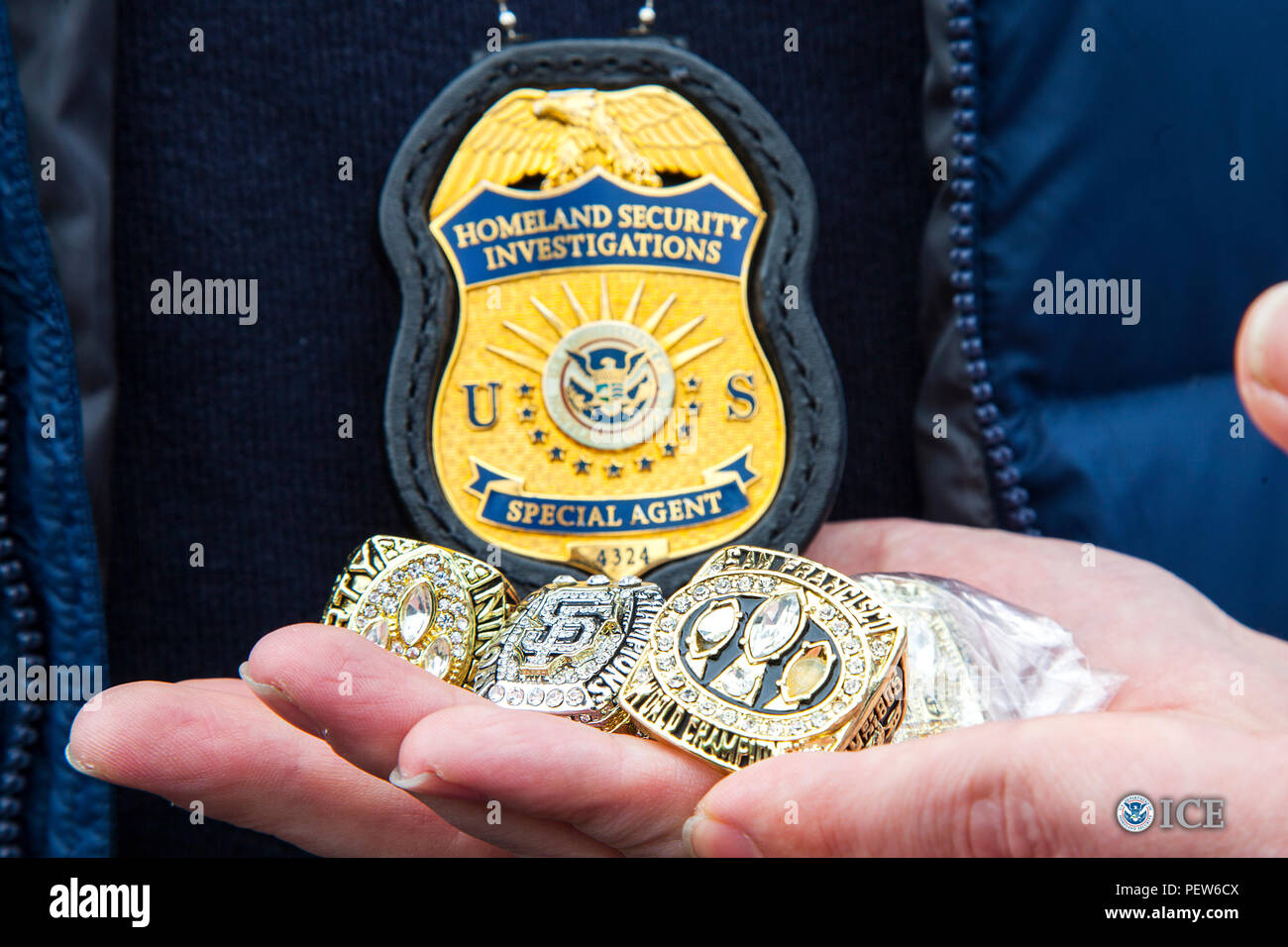 Dhs Ice Logo