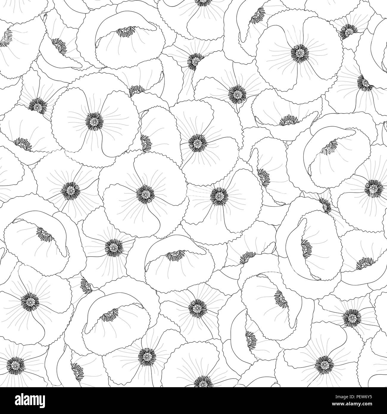 Papaver rhoeas Outline Seamless Background or common poppy,corn poppy,corn rose,field poppy,Flanders poppy or red poppy. Vector Illustration. Stock Vector