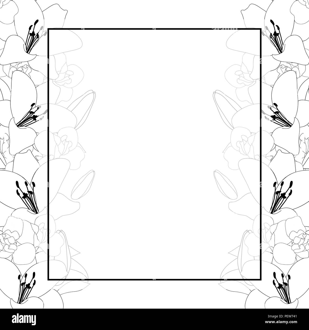 Lily And Iris Flower Outline Banner Card Border On White