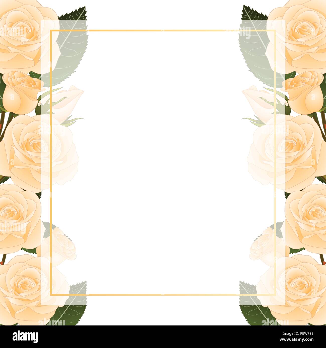 Orange Rose Flower Frame Banner Card Border Isolated On White