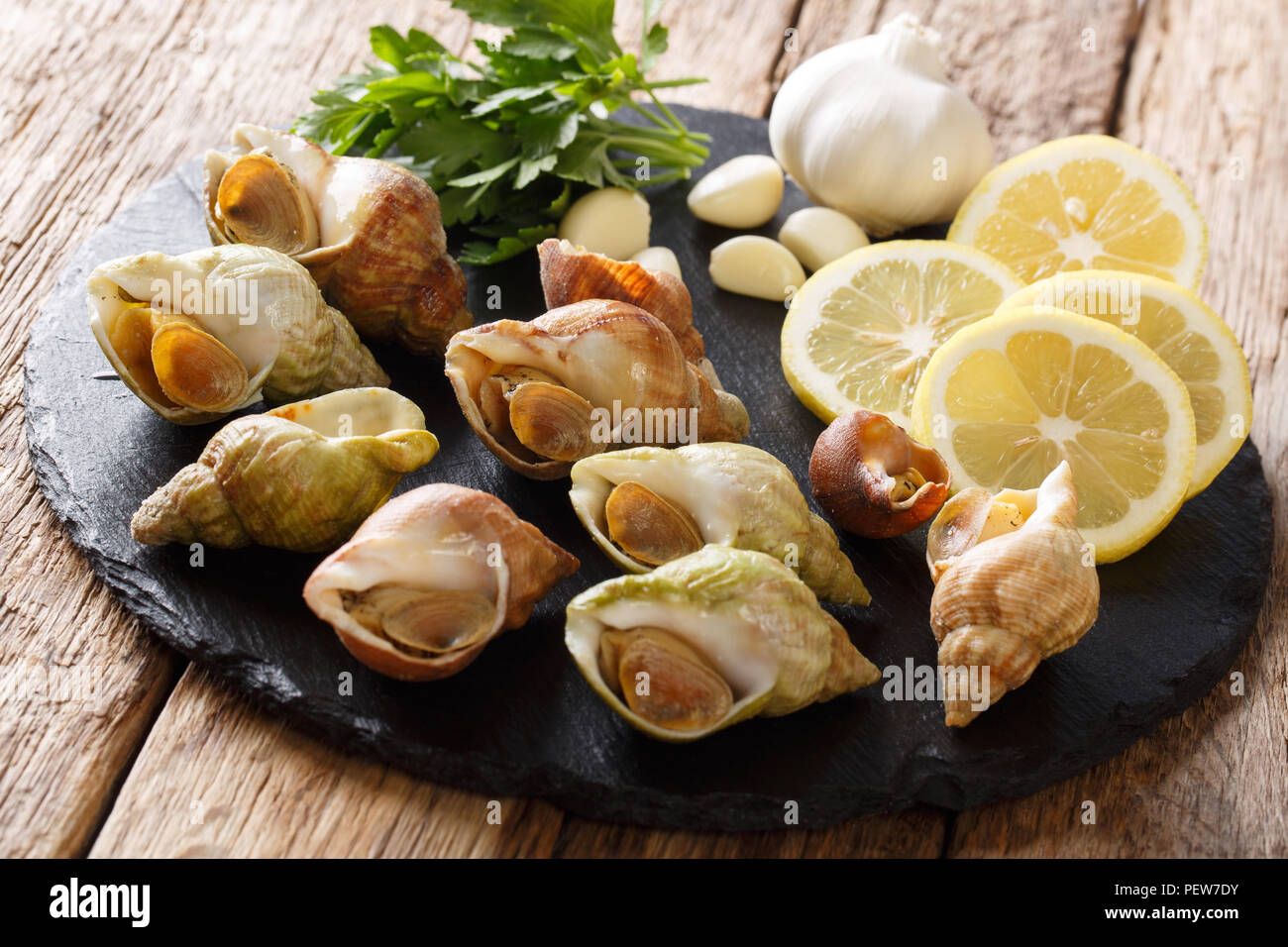 Seafood raw whelk, sea snails bulot with a garlic and parsley, lemon