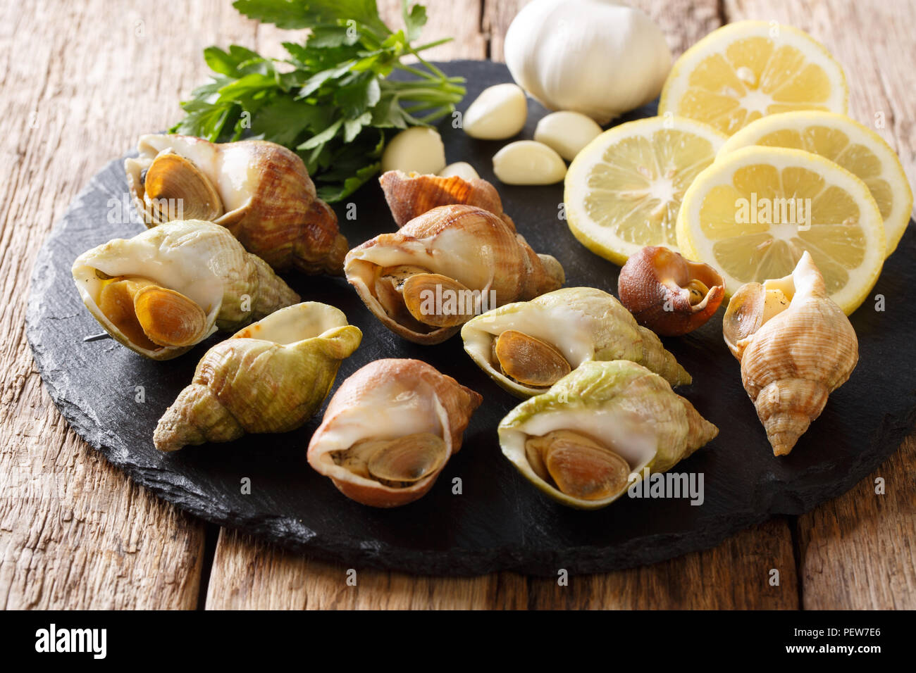 Snails sea food hires stock photography and images Alamy