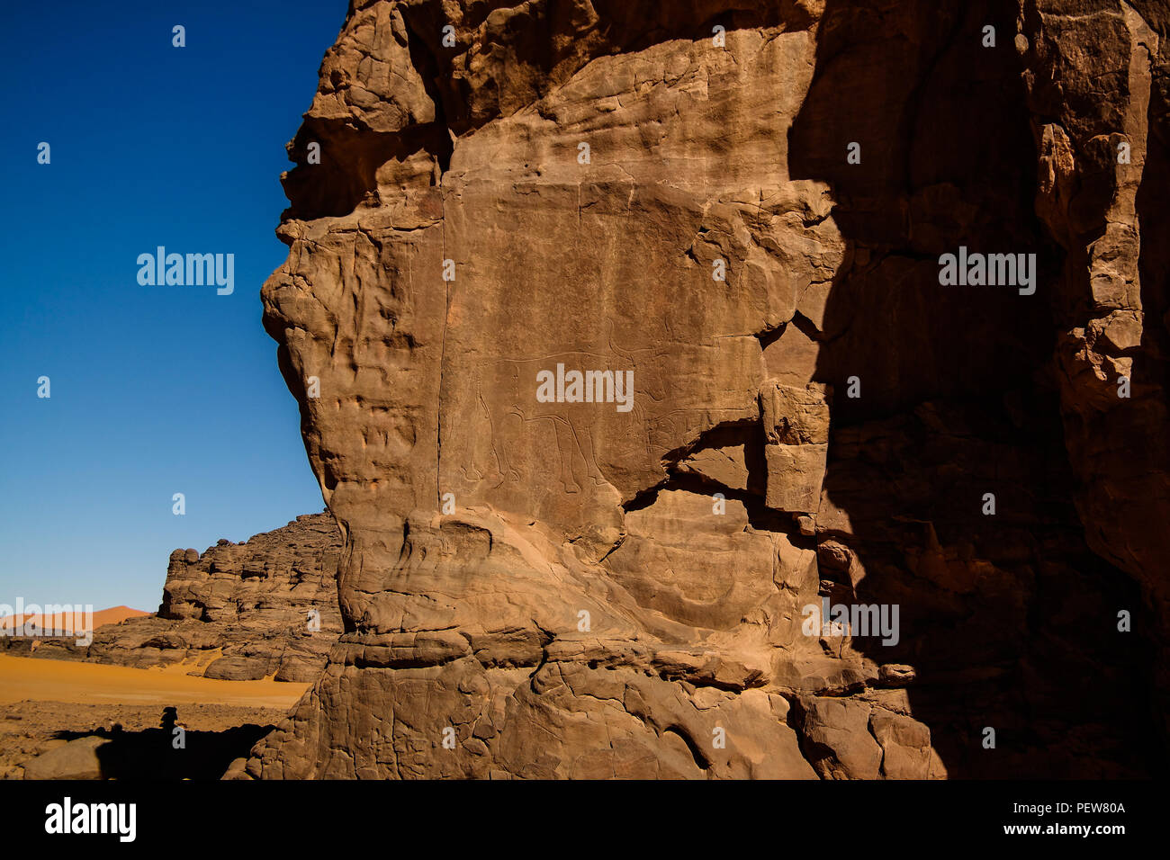 Cow - Cave paintings and petroglyphs at Boumediene in Tassili nAjjer national park, Algeria Stock Photo