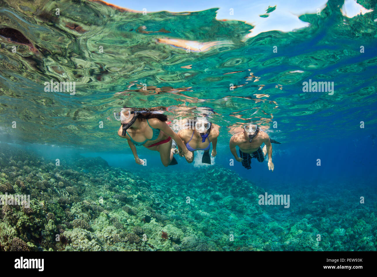 Hawaii maui young woman diving hires stock photography and images Alamy