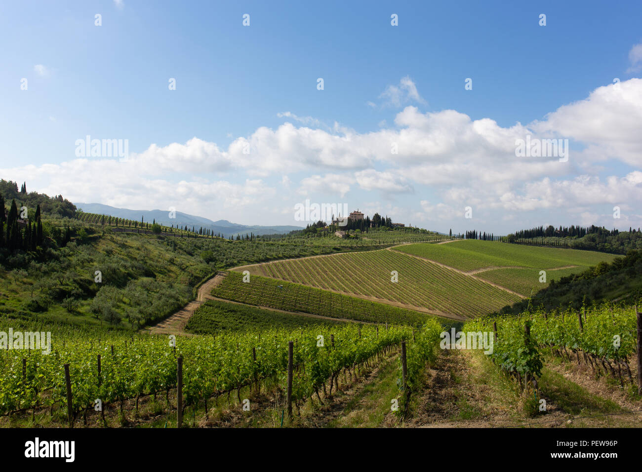 Typical Tuscan landscape, rolling hills with vineyards Stock Photo