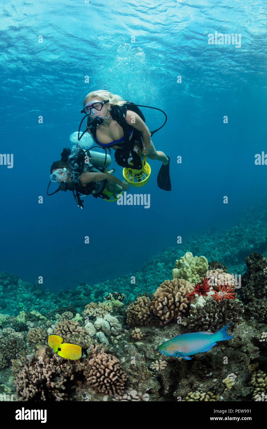Two female divers (MR) on underwater scooters cruise over a reef off