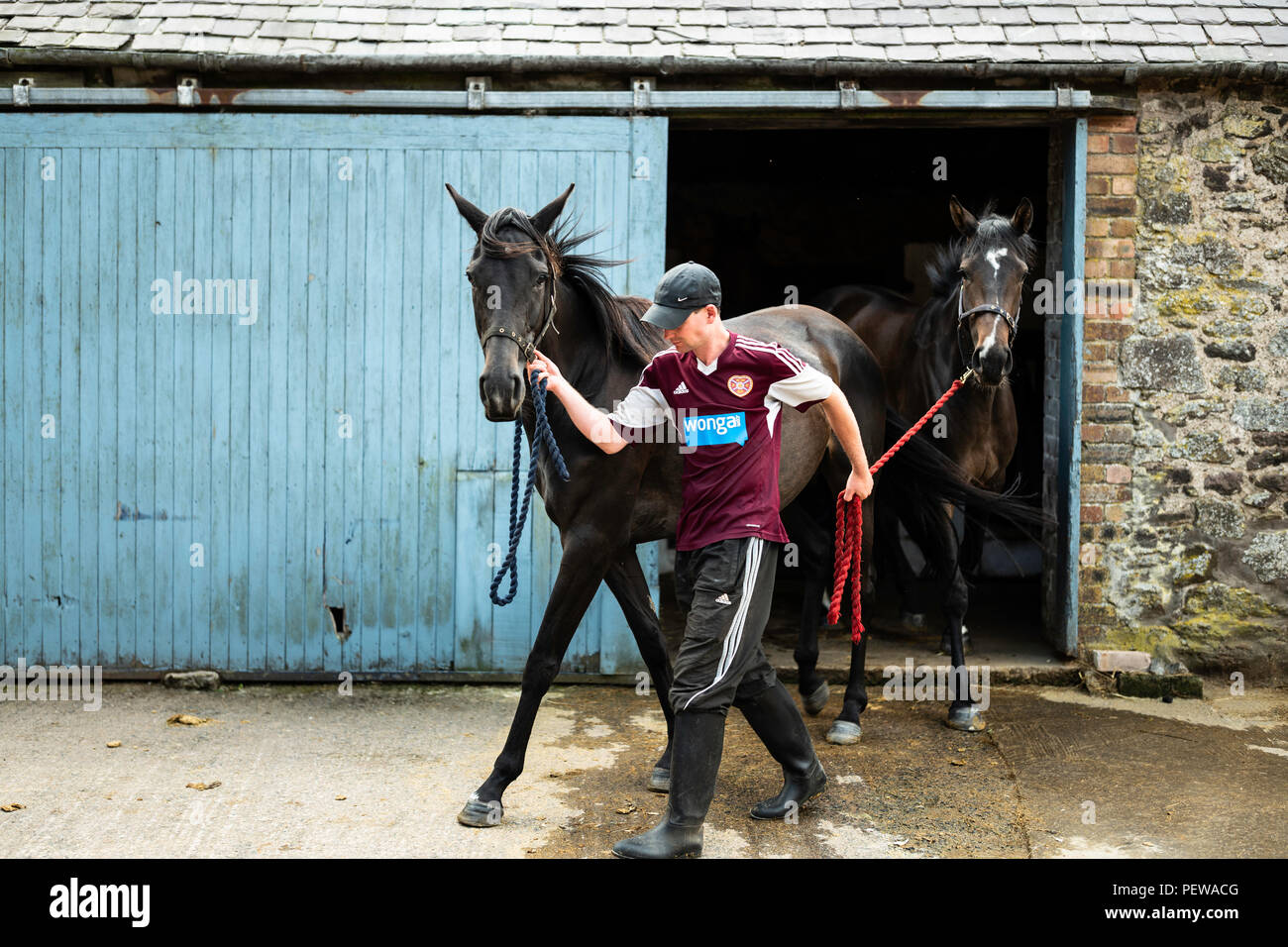 Racehorse Trainer Stock Photos & Racehorse Trainer Stock Images - Alamy