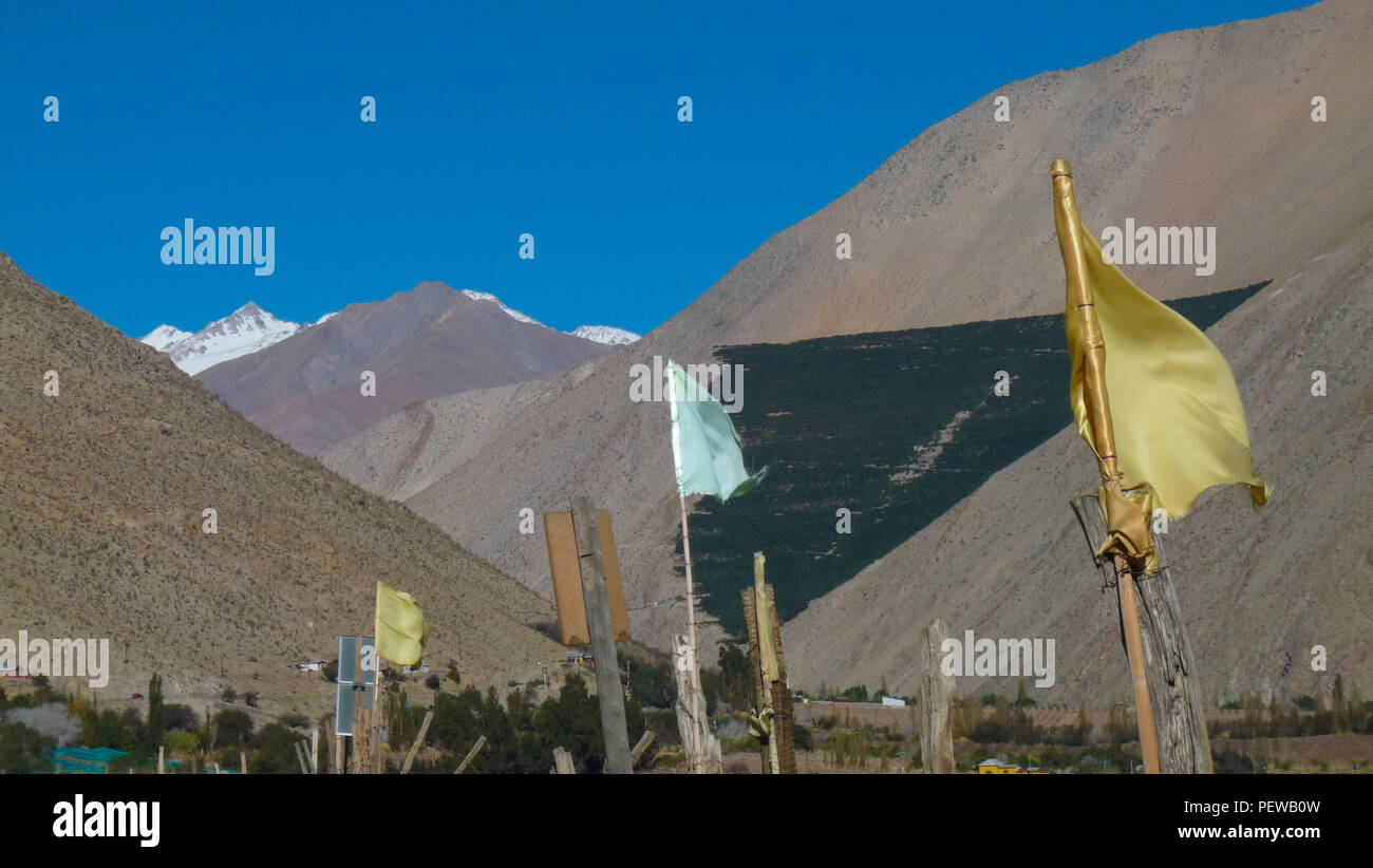 Landscape vie of the Elqui Valley in northern Chile, with flags in the foreground and mountains in the background Stock Photo