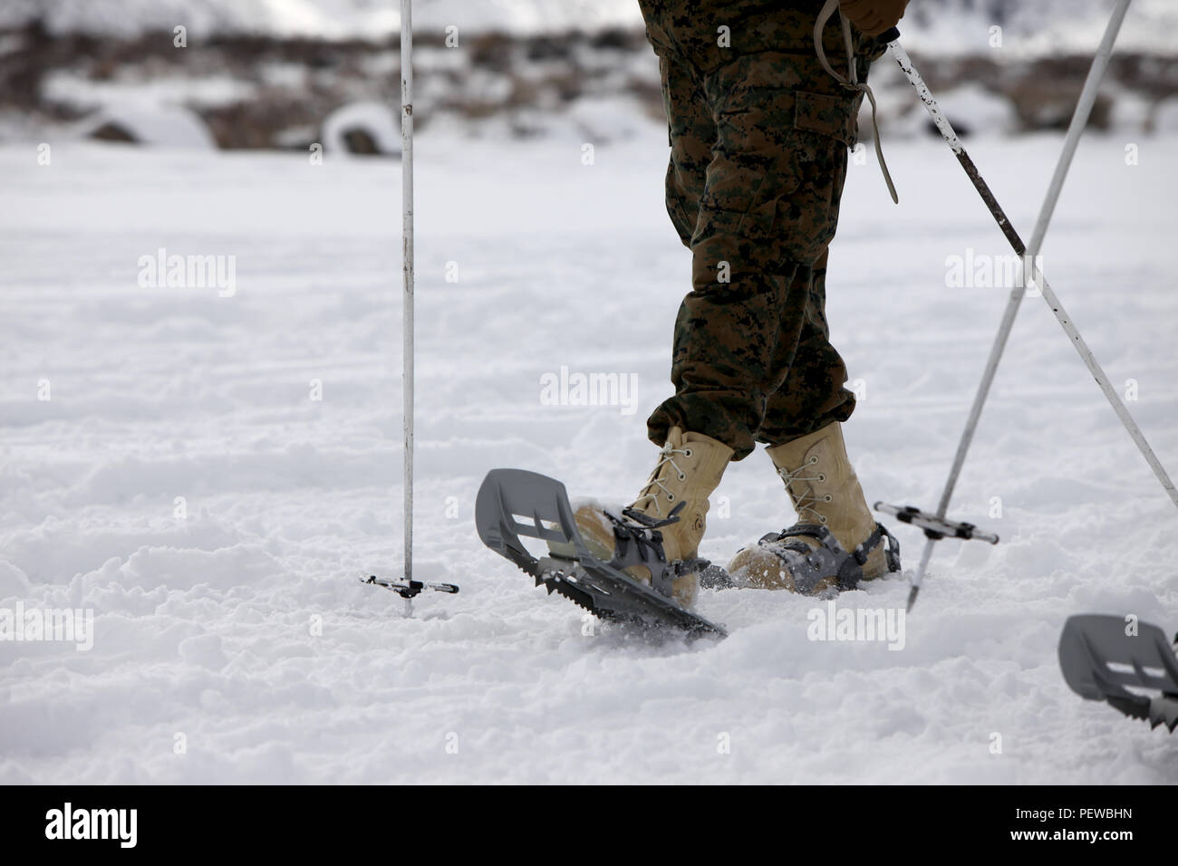 A Marine uses snowshoes for the first time during cold weather training at  Marine Corps Mountain Warfare Training Center, Calif., Jan. 21, 2016.  Snowshoes are implemented in the training for Marines to