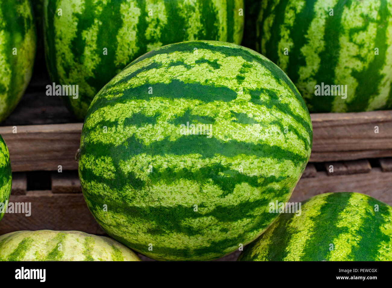 Close up of a pile of beautiful delicious green watermelons on the ...
