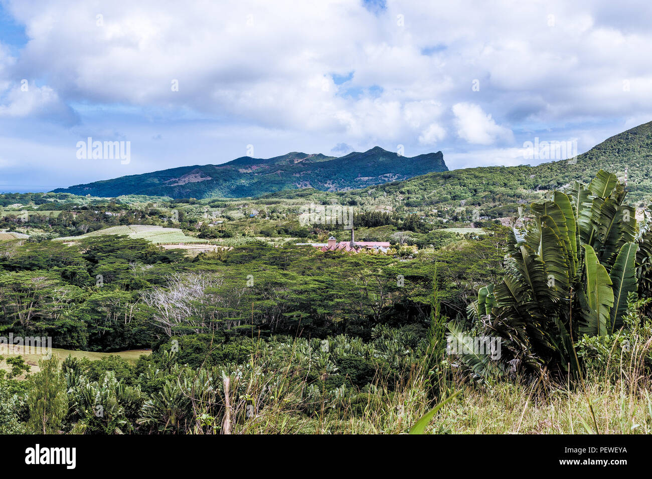 Mauritius chamarel rum hires stock photography and images Alamy
