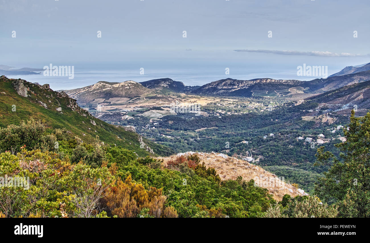 Corsica