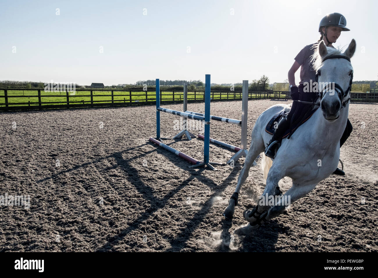 Teenage girl riding on a white horse in a paddock, taking a corner