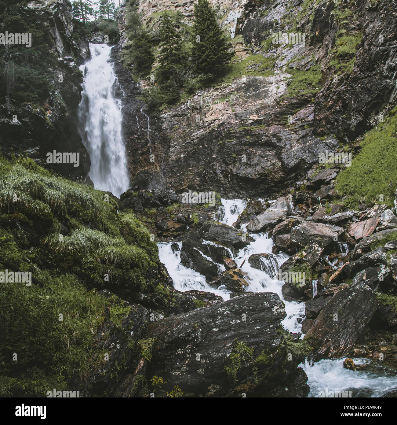 saent waterfall on italian alps, Rabbi valley Stock Photo