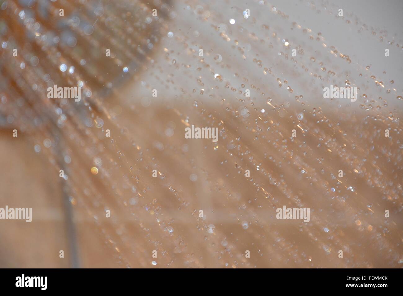 Water cascading from shower head Stock Photo
