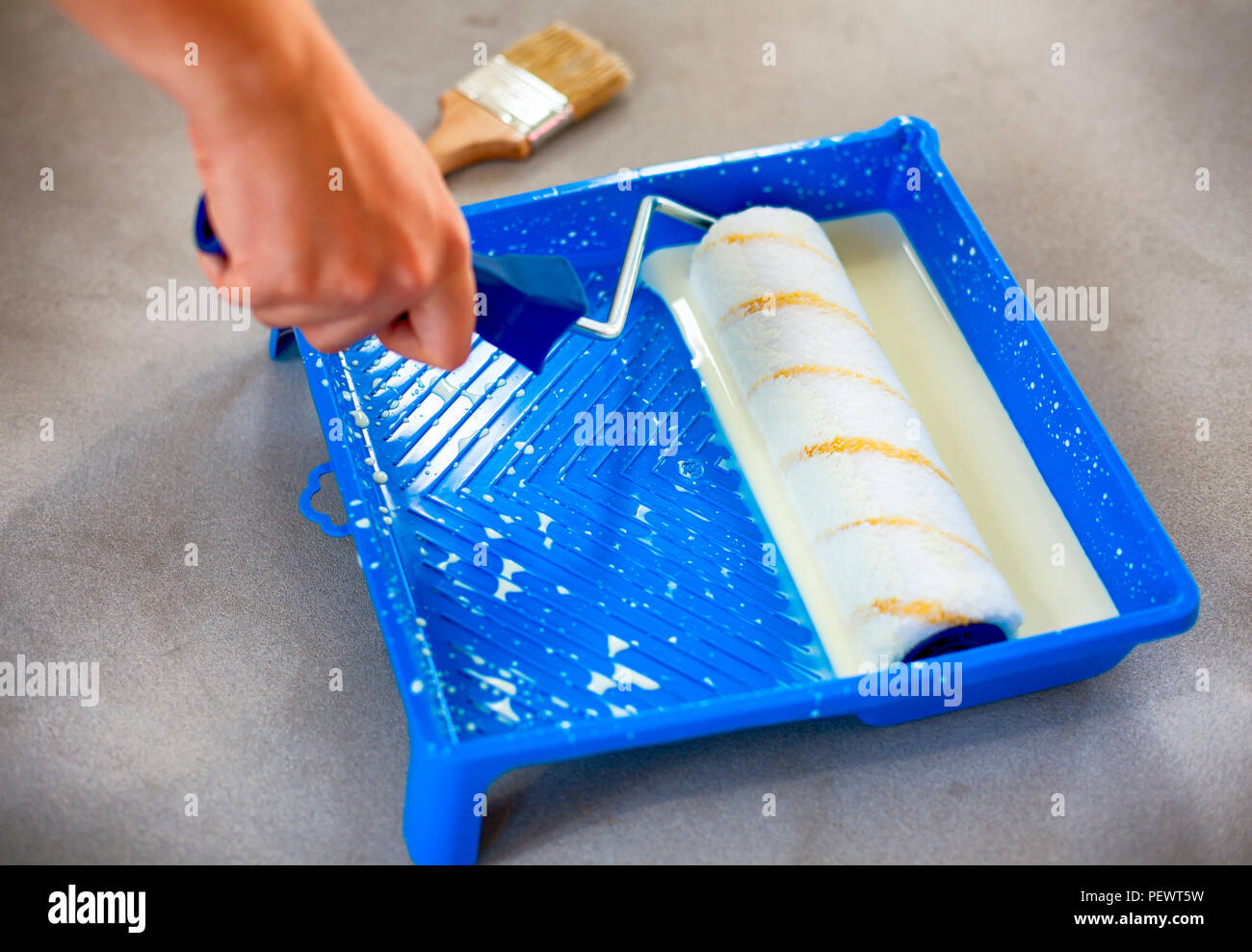 Woman hand with paint roller and paint tray with primer. Close-up. Stock Photo