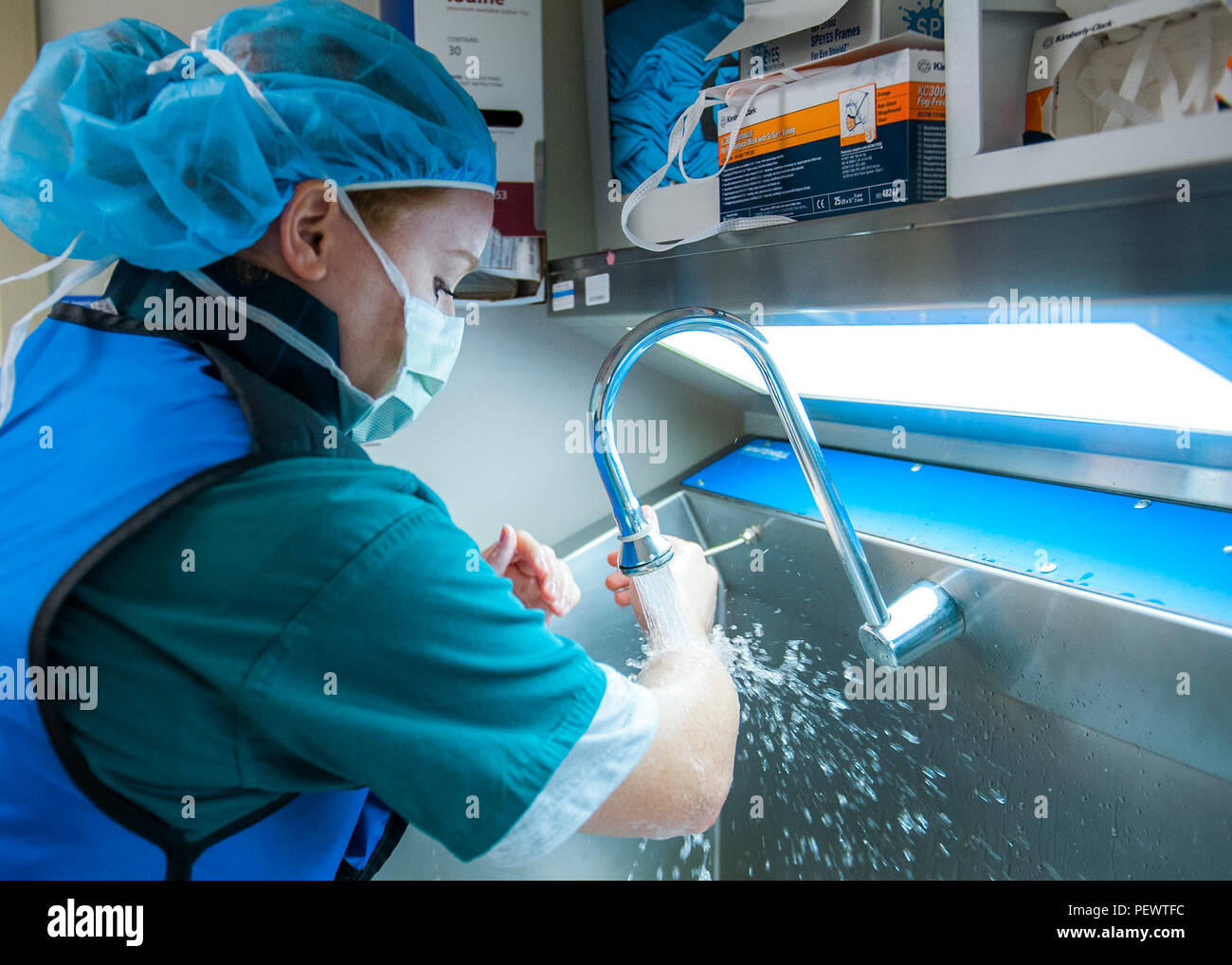 Scrub technicians hires stock photography and images Alamy